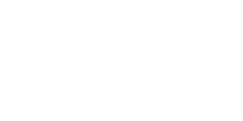 light logo